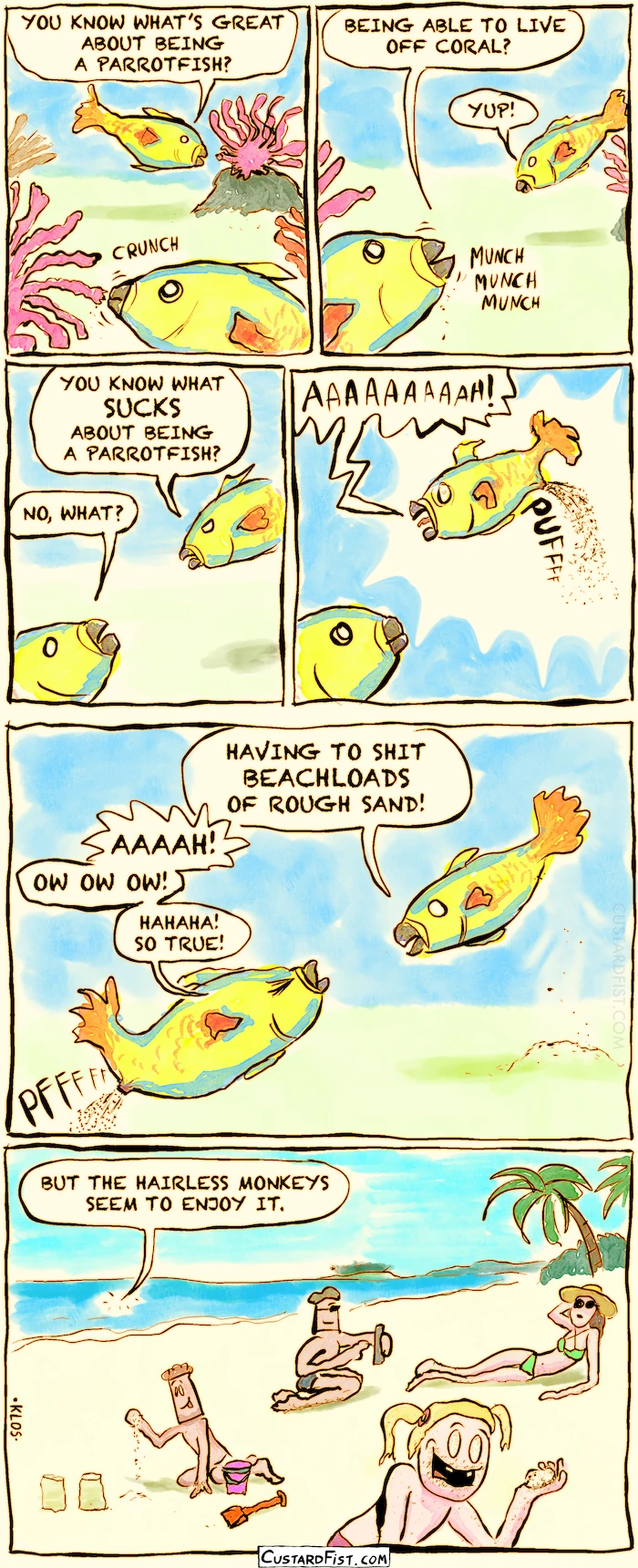 This is a comic strip
Two parrotfish, Don and Herbert, are feasting on corals in shallow ocean waters.
Don says: “You know what’s great about being a parrotfish?”
Herbert replies: “Being able to live off coral?”
Don answers: “Yup!”
Don says: “You know what sucks about being a parrotfish?”
Herbert asks: “No, what?”
Don yells out in pain as he poops out a load of white sand.
Don shouts: “AAAAAAAH!”
Don says: “Having to shit beach loads of rough sand.”
Herbert also starts pooping sand.
Herbert yells: “AAAAH! Ow ow ow! Hahaha! So true!”
Herbert adds: “But the hairless monkeys seem to enjoy it.”
On a nearby beach, people are enjoying playing in the white sand.